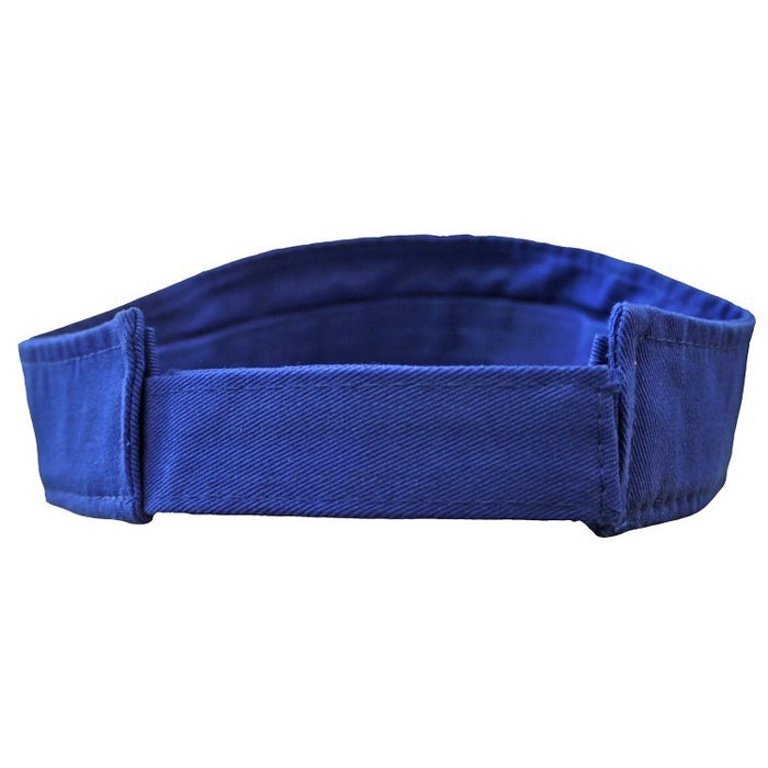 RISE Guard Visor