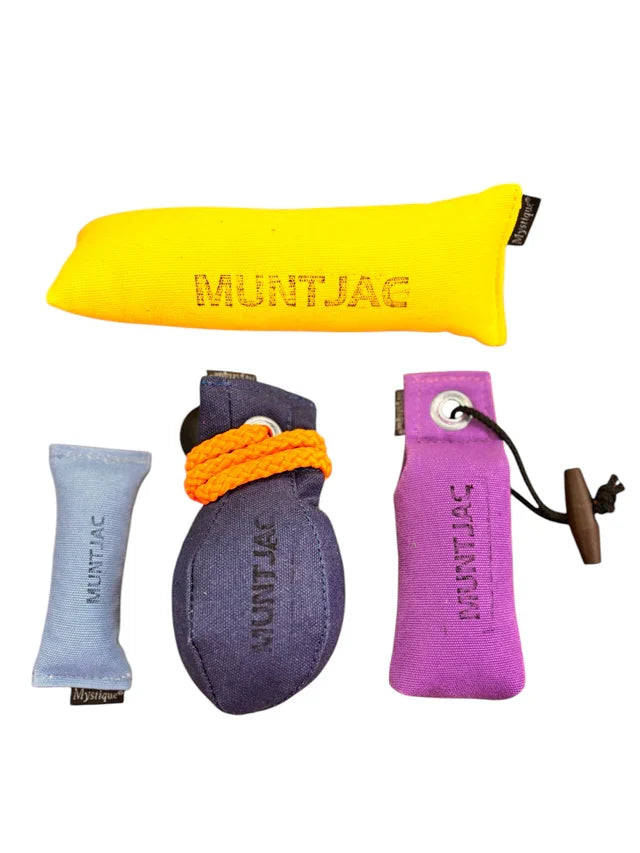 Set of Muntjac dog training tools including a yellow, purple, gray, and pink product on a white background.