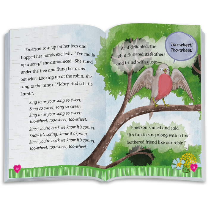 The Riddle of the Robin Book (WellieWishers™)