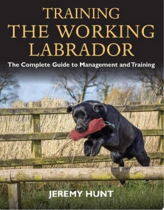 labrador training book