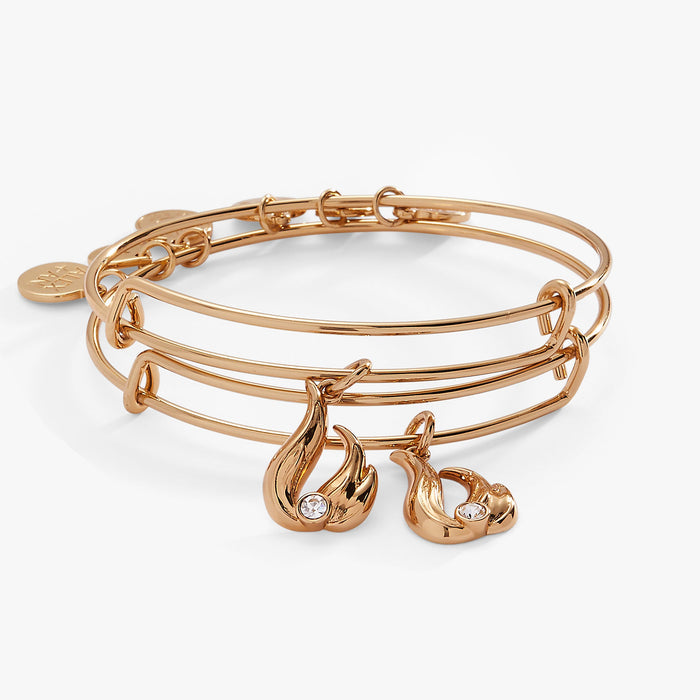 Twin Flame BFF Bangle set of 2