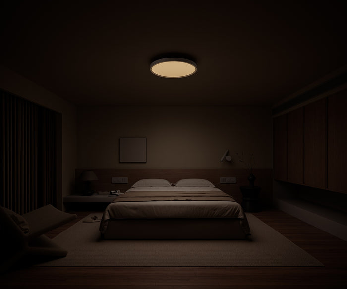 Xiaomi Smart Ceiling Light D40